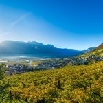 Blick vom Kirchensteig Tramin im Herbst