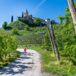 Frühling am Kirchensteig