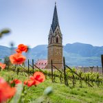 Blick auf den Kirchturm vom Kirchensteig aus