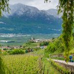 Frühjahresspaziergang in Tramin