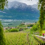 Frühjahresspaziergang in Tramin