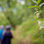 Naturlehrpfad Tramin