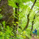 Naturlehrpfad Tramin