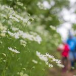 Naturlehrpfad Tramin