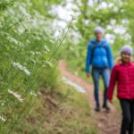 Naturlehrpfad Tramin