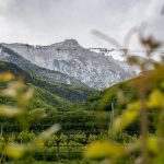 Naturlehrpfad Tramin