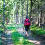 Waldweg auf dem Monte di Bosentino