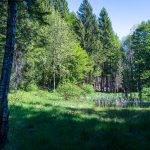 Weiher auf dem Monte di Bosentino