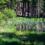 Weiher auf dem Monte di Bosentino