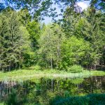 Weiher auf dem Monte di Bosentino