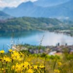 Blick auf den südlichen Teil des Caldonazzosee von der Via Castagne aus