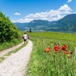 Weinlehrpfad Kurtatsch