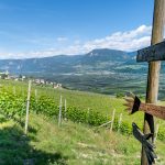 Weinlehrpfad Kurtatsch