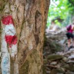 Wanderung duch das Grauer Loch