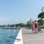 Schwäne am Pier von Lazise am Gardasee