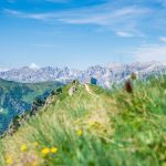 Bindelweg mit Blick auf den Col di Rusc und Rosengartengruppe