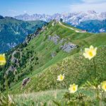 Col di Rosc mit Crepa Neigra und Rosengartengruppe im Hintergrund