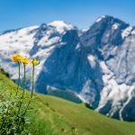 Marmoltata – Gletscher der Dolomiten