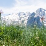 Dolomitengletscher Marmolata