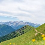 Col di Rosc mit Rosengartengruppe im Hintergrund