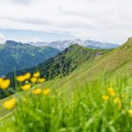 Col di Rosc mit Crepa Neigra und Rosengartengruppe im Hintergrund