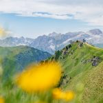 Col di Rosc mit Rosengartengruppe im Hintergrund