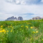 Langkofel vom Col di Rusc aus gesehen