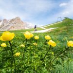 Wandern in den Dolomiten