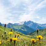 Ausblick auf die Marmolata vom Friedrich-August-Weg