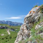 Edelweiß vor der Plattkofelhütte am Friedrich-August-Weg