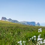 Blick auf den Schlern