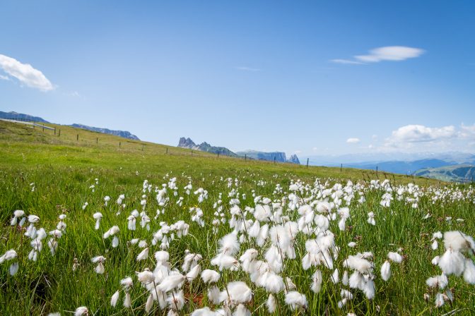 Blick auf Roßzähne und Schlern - Wow!