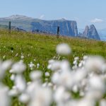 Blick auf den Schlern