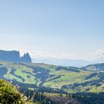 Blick auf den Schlern und Seiser Alm