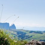 Blick auf den Schlern und Seiser Alm