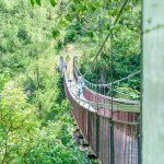 Hängebrücke am Meraner Höhenweg