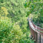 Hängebrücke am Meraner Höhenweg