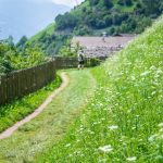 wandern am Merander Höhenweg