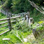 wandern am Merander Höhenweg