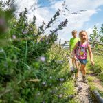 wandern am Merander Höhenweg