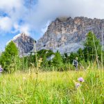 Weidewiesen Lach und Monte Pelmo