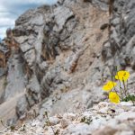 Auf dem Val d’Arcia Sattel – Rundwanderung Monte Pelmo