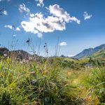 Passo San Pellegrino