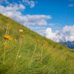 Wandern auf dem Passo San Pellegrino