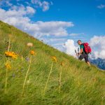 Wandern auf dem Passo San Pellegrino