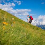 Wandern auf dem Passo San Pellegrino