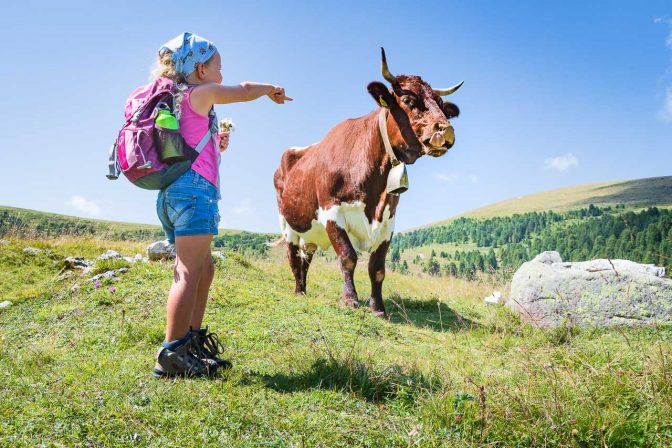 So eine Kuh die hat es fein. Die braucht kein Taschentuch, die hat eine lange Zunge. Das geht auch :-)