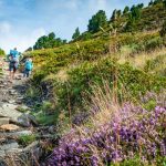 Wanderung auf das Schönjöchl (Plose)