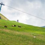 Mountainbiken auf der Plose