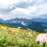 Blick vom Panoramaweg Plose auf die Peitlerkofelgruppe und die Geislergruppe